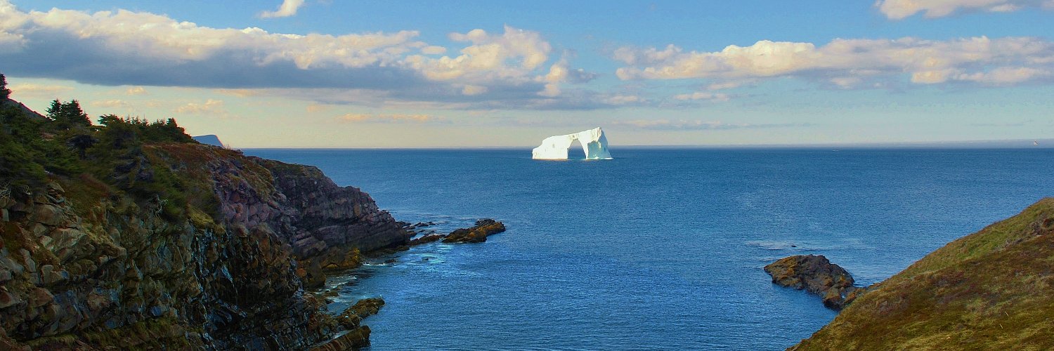 Graham Wilkins banner