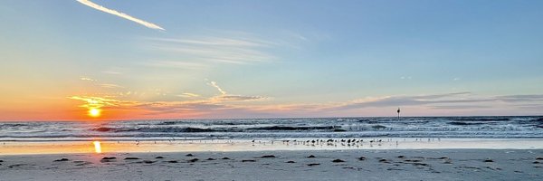 DamAmy_VSE Profile Banner