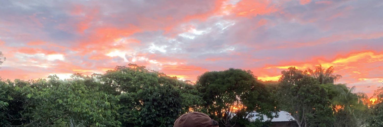 dntasnr's profile banner image