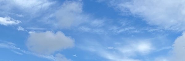 6317Bluelemon Profile Banner