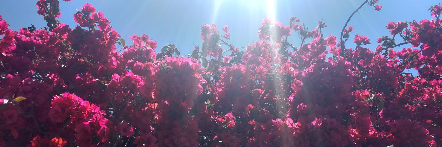 alarcon1697's profile banner image