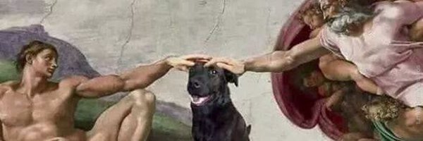Net0BR Profile Banner