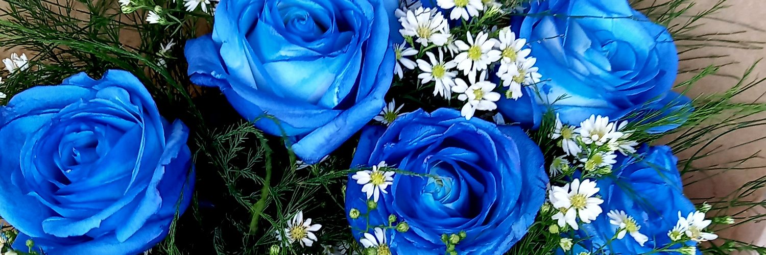 Clodoaldo Oliveira banner