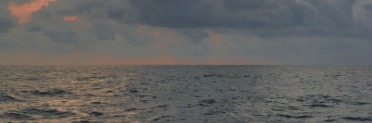 RustrianAlfredo's profile banner image