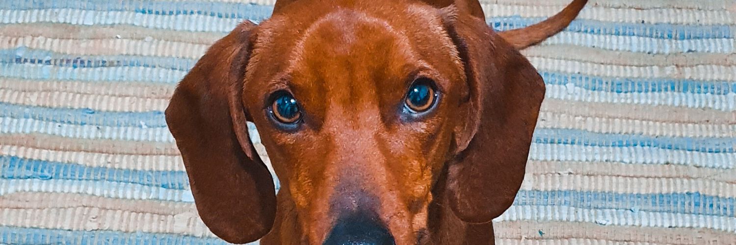 leoqui_10's profile banner image