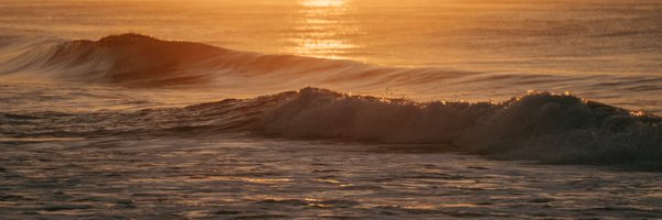 chuchopotts Profile Banner