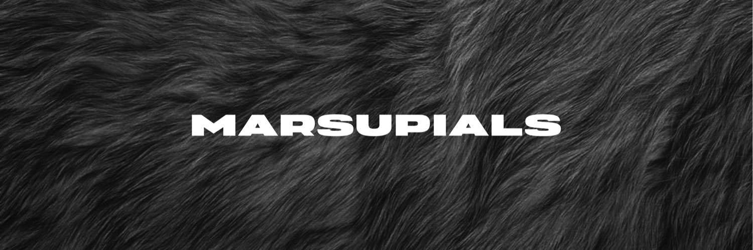 Extra Medium 🇦🇺 banner