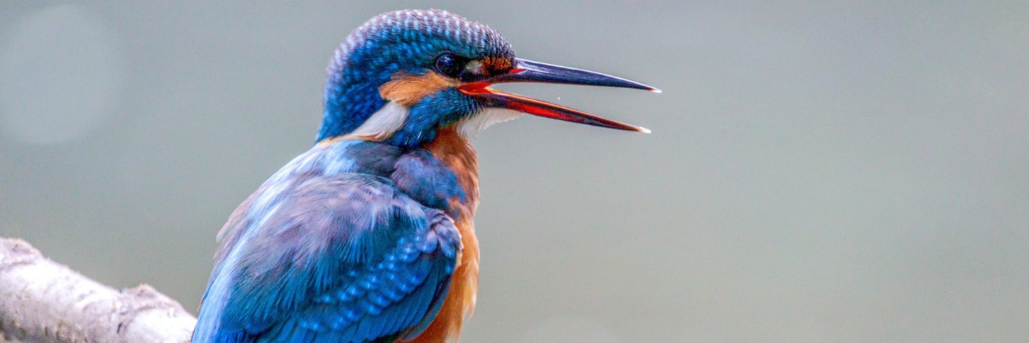 AldamiFilms's profile banner image