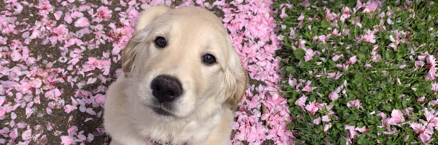 CanadayLinds's profile banner image