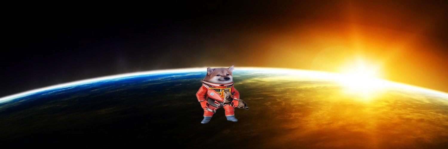 Do You Grok?🗽🖖🏽🚀 🌻's banner
