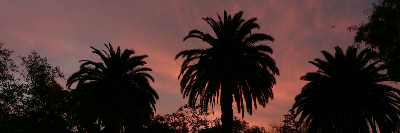 mzazul's profile banner image