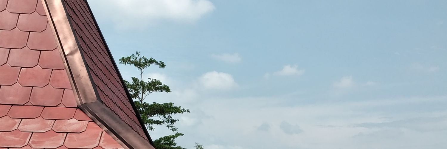 cimorysea's profile banner image