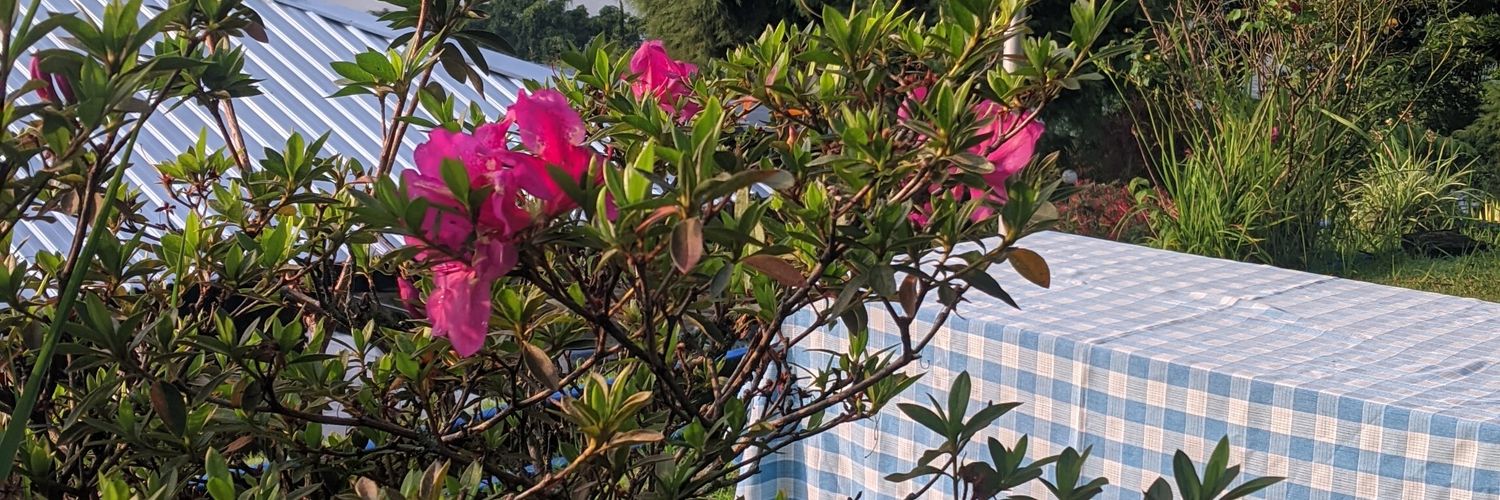 csybau's profile banner image