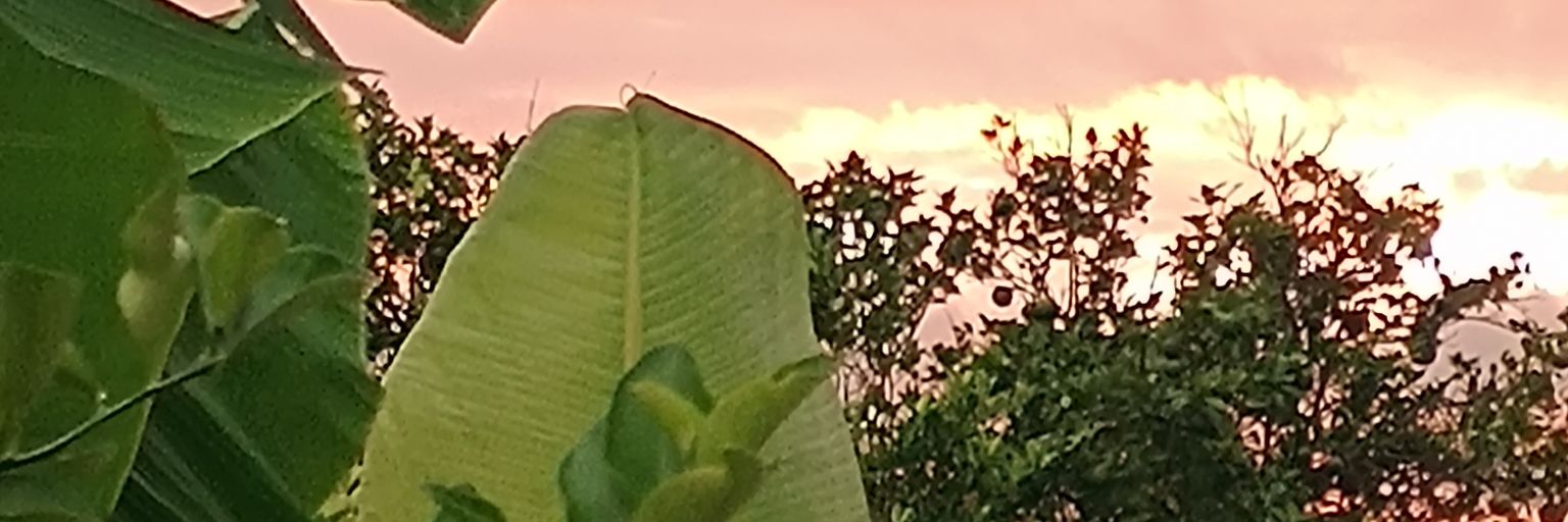 EmptyRemy's profile banner image