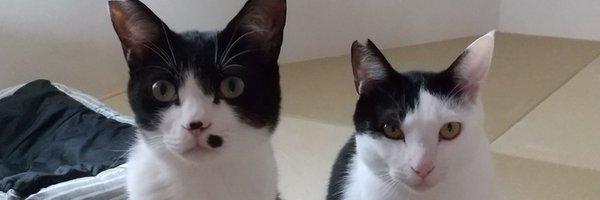I5F4MODSWTOLHj9 Profile Banner
