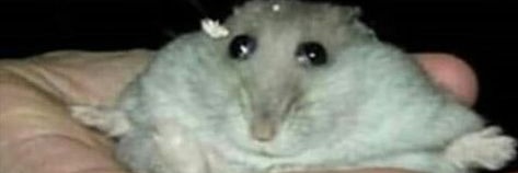 Lic_0rtega's profile banner image