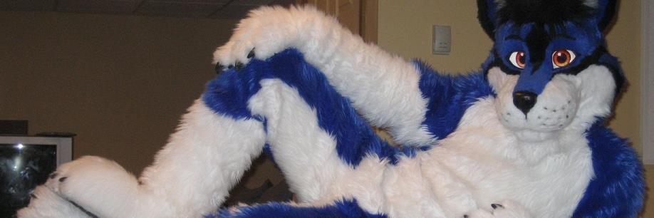 BashfulWolf's profile banner image