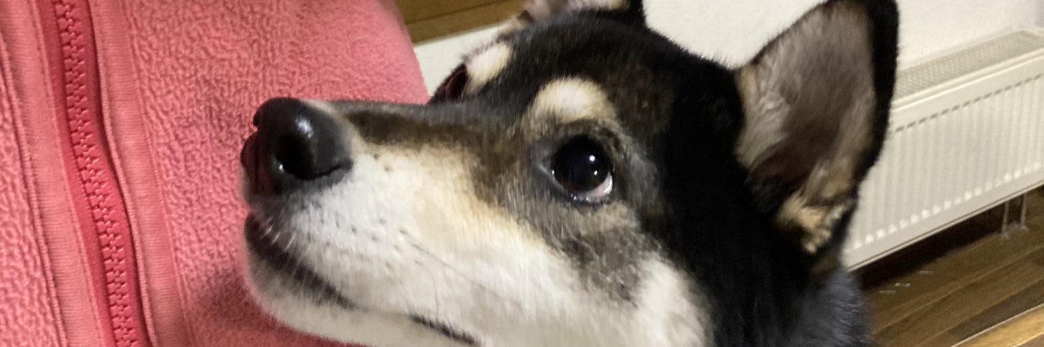 robshinta's profile banner image