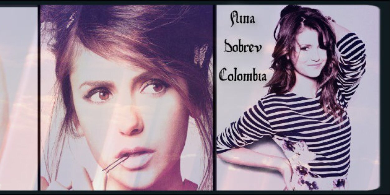 NinaDobrevCol's profile banner image