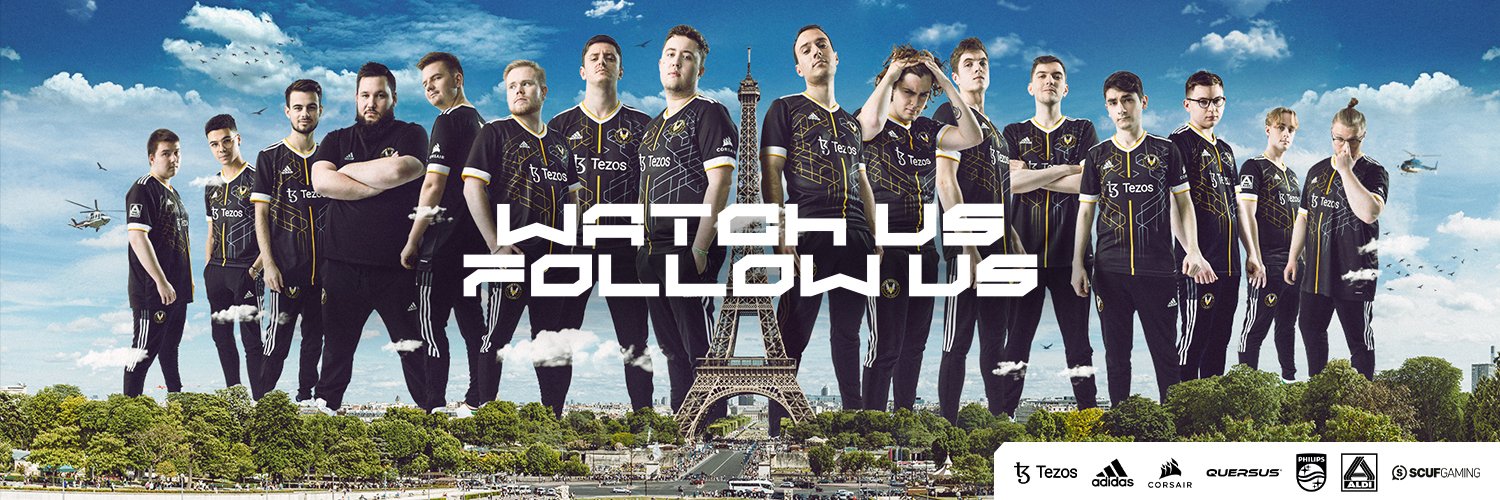 Team Vitality Support banner