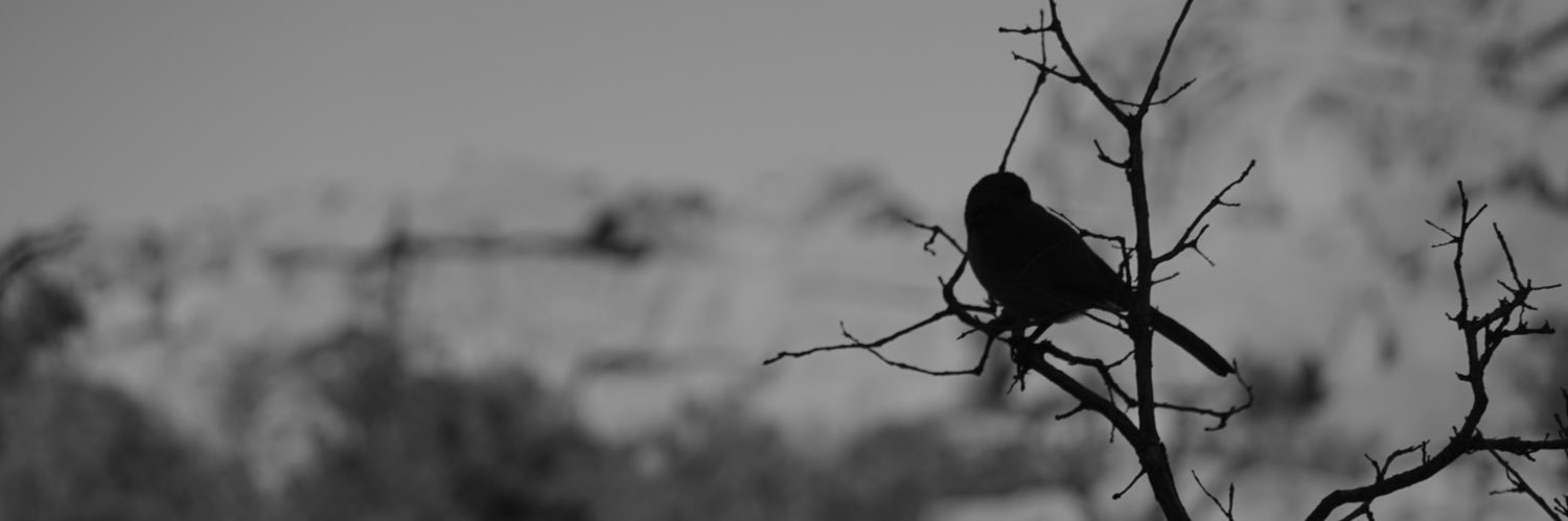 ChantzPants's profile banner image