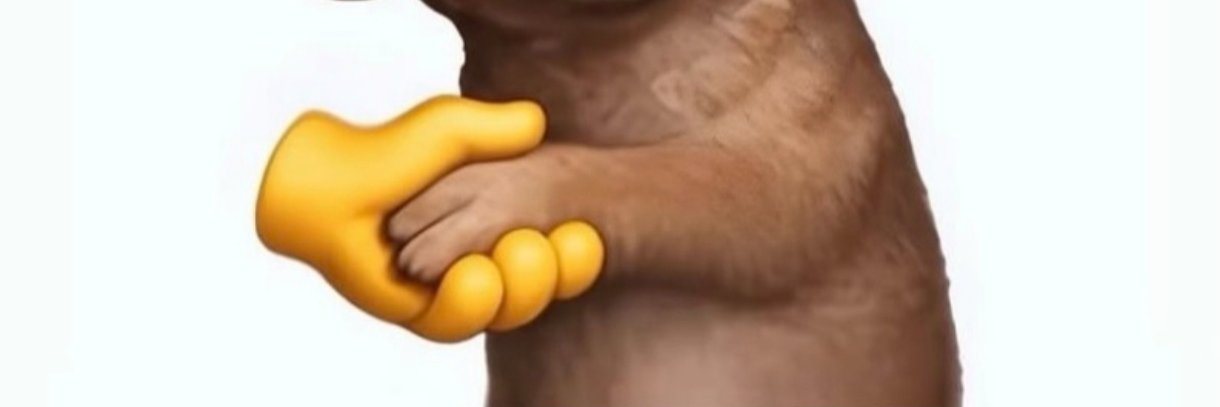 Abulelele1's profile banner image