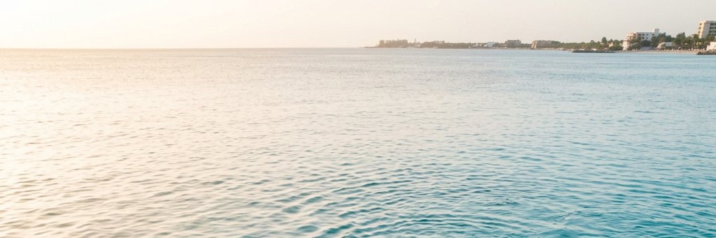 V banner