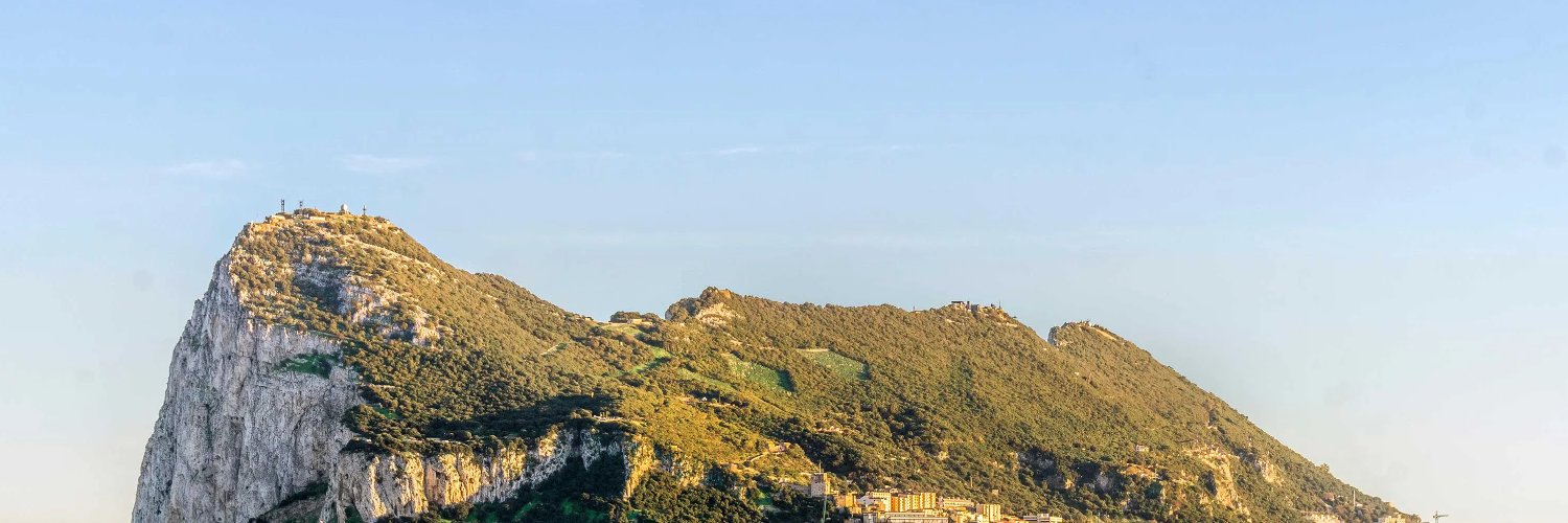 MetaLink Capital banner