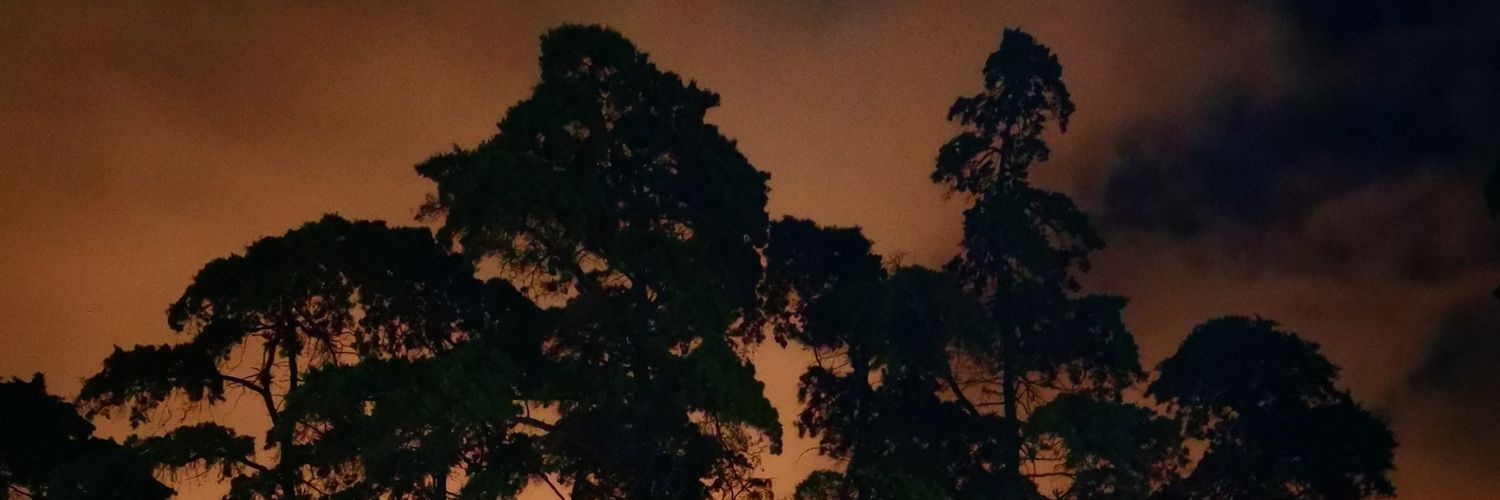 HesT28's profile banner image