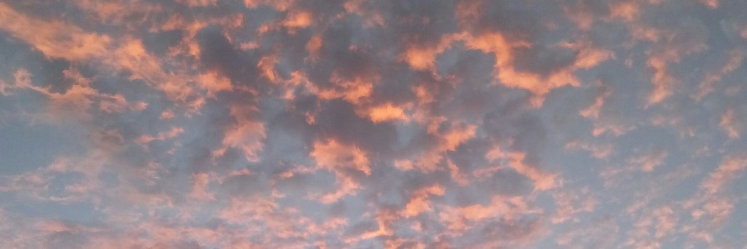 leonardrumm's profile banner image