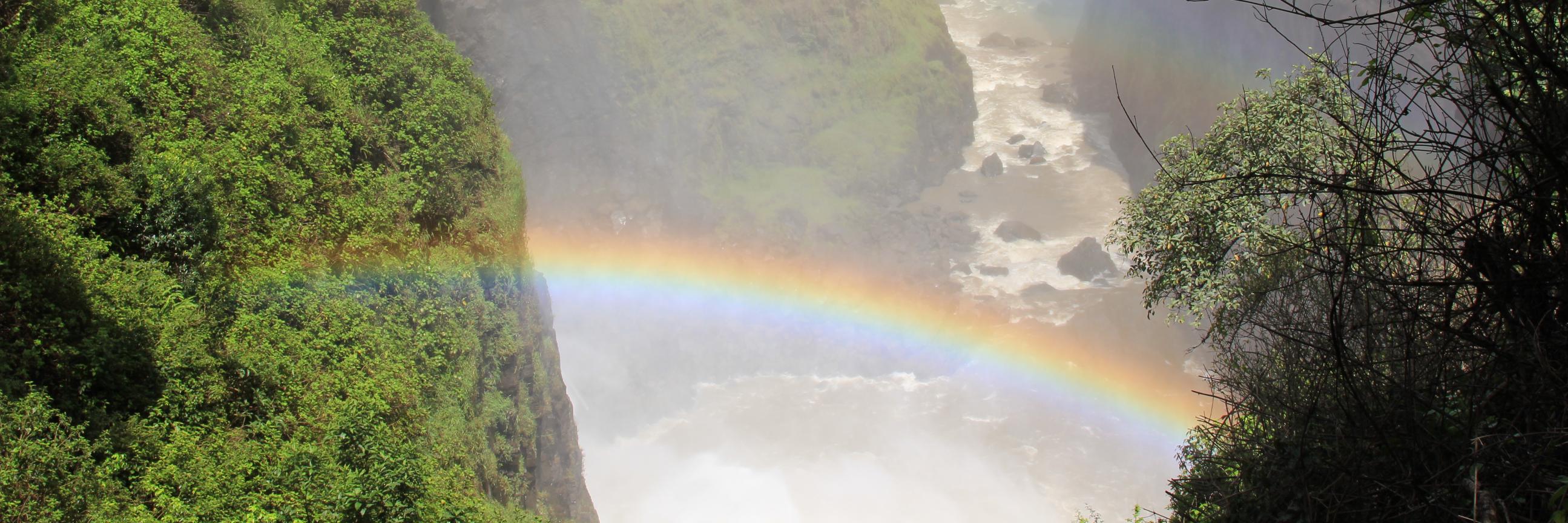 carolinestrzalk's profile banner image