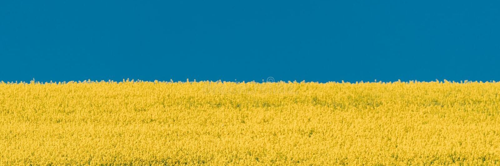 Multis53060905's profile banner image
