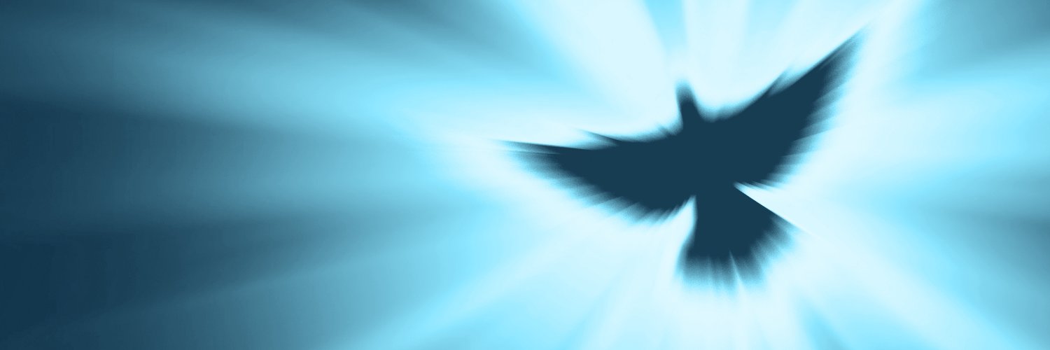 Chris At Speaker's Corner banner