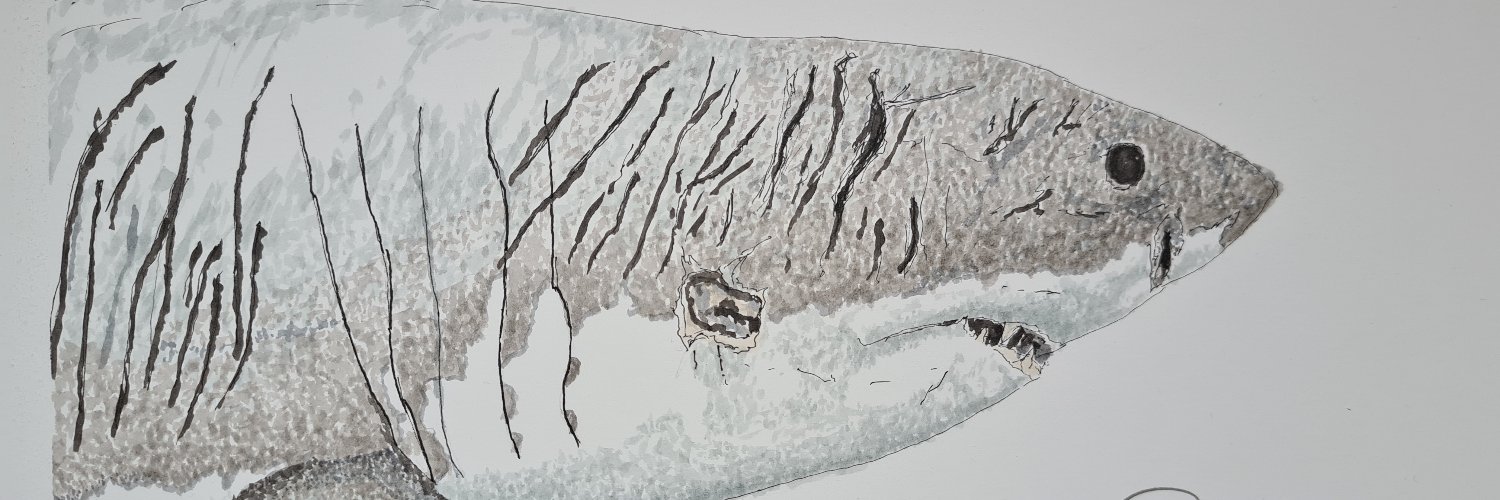 @CornishBoyArt banner