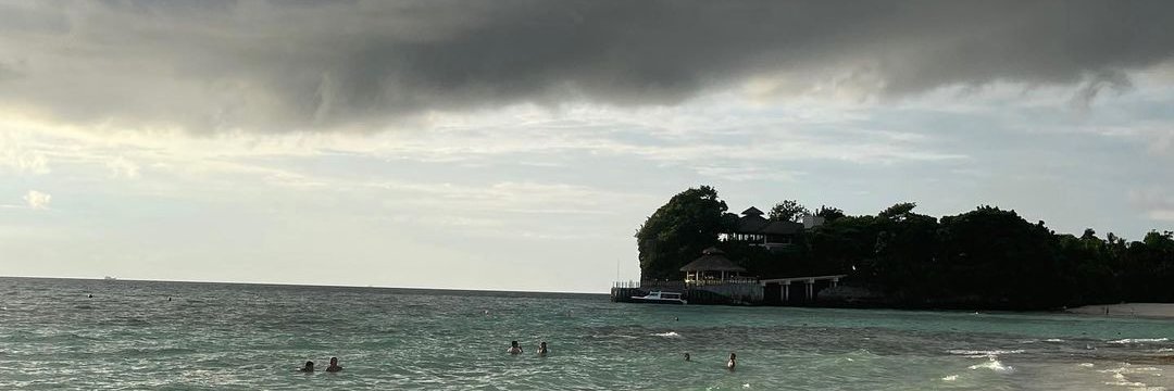 Daniella Chua banner