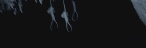 ○ banner