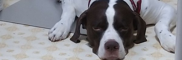 one_pointer Profile Banner