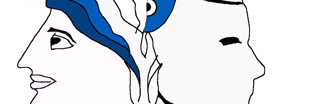 JANUS Project banner