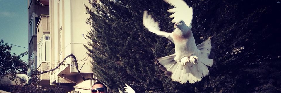 BasarirF's profile banner image