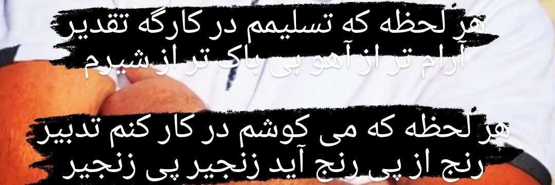 babaknajafi021's profile banner image
