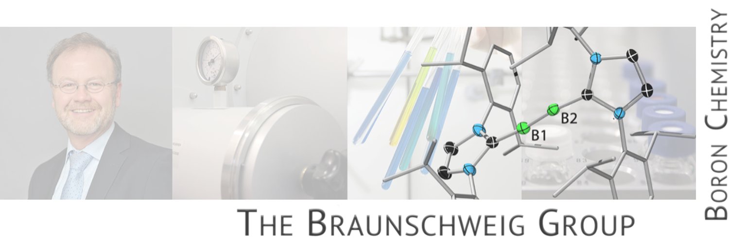 The Braunschweig Group's banner
