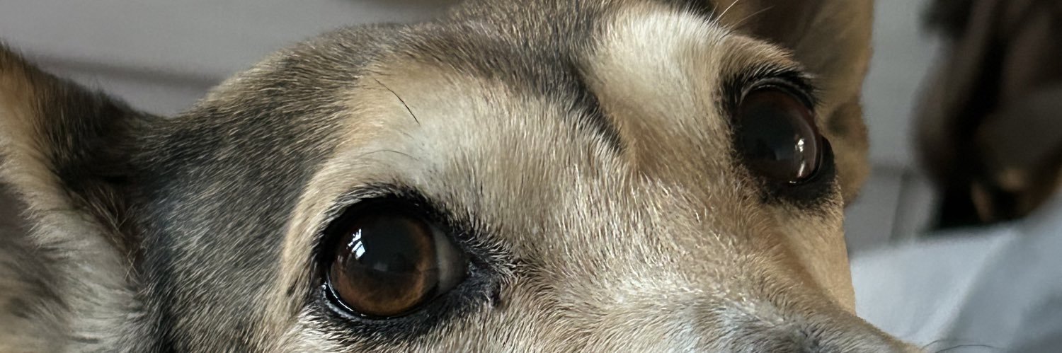 luzsuarez5's profile banner image