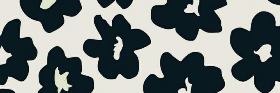 lia²⁷ banner