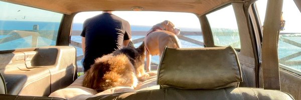 SCMountainGoat Profile Banner