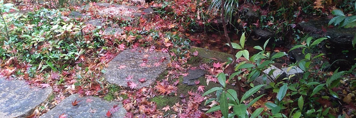 ✡†ラータ†✡ banner