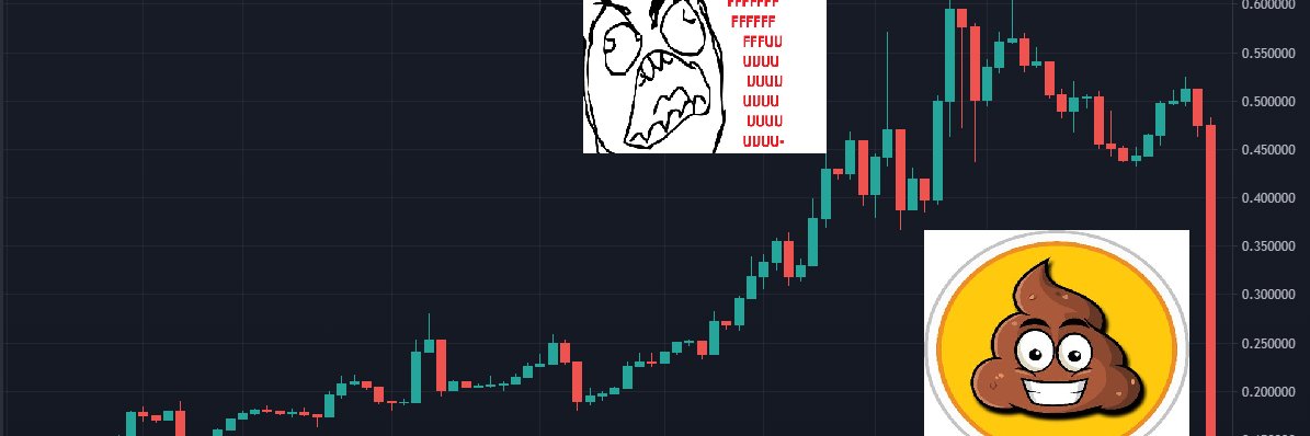 shitcoinrandy's profile banner image