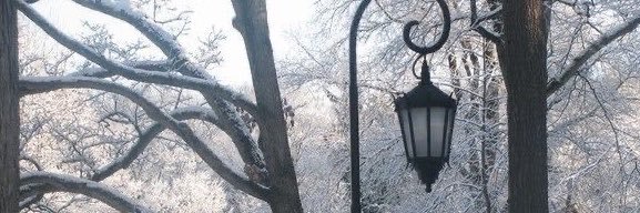 winteraholic's profile banner image