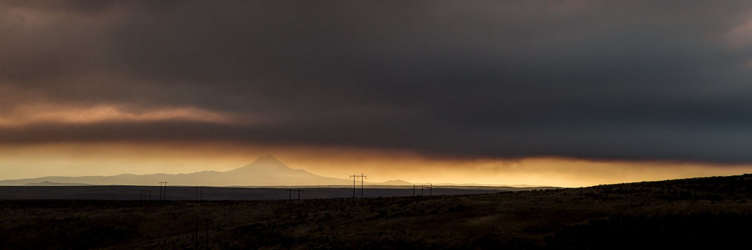 Will Hendricks banner