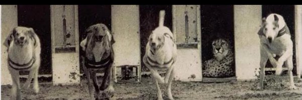 Thefahd_allan Profile Banner