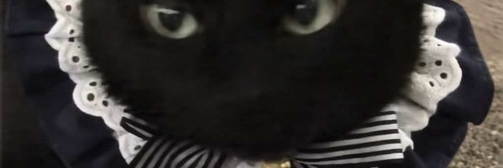 illegrl_'s profile banner image